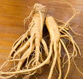 Panax Ginseng Ext